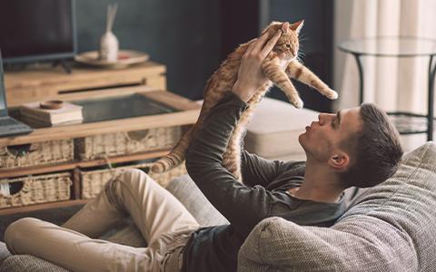 Man on a sofa holding a cat up playfully