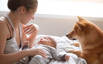 Introducing dog to store baby