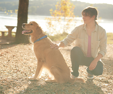 Dog sitting by a sunny lake, being stroked by a person