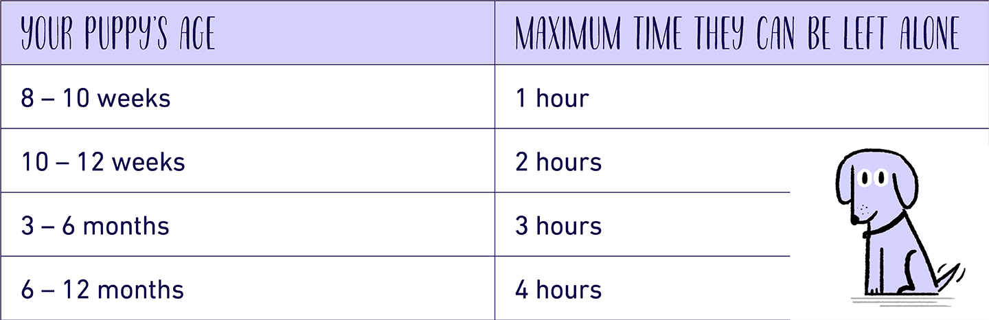 what age can a puppy be left for 8 hours