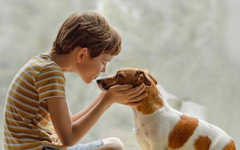 Boy fussing a dog