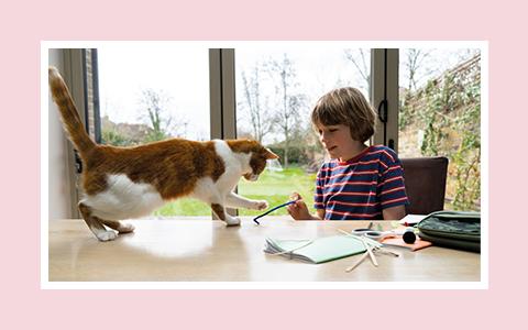 Boy doing arts and craft on a table but distracted playing with a cat