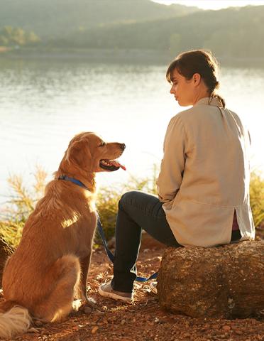 Sat with a dog by a lake